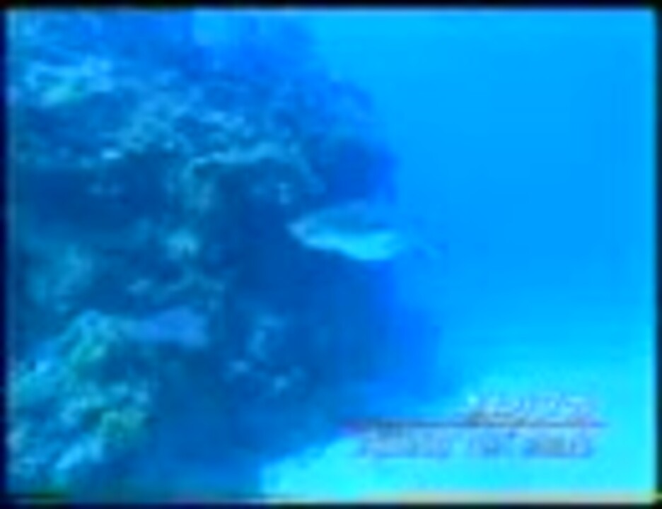 人気の ﾄﾞﾓﾎﾙﾝﾘﾝｸﾙ 動画 64本 2 ニコニコ動画