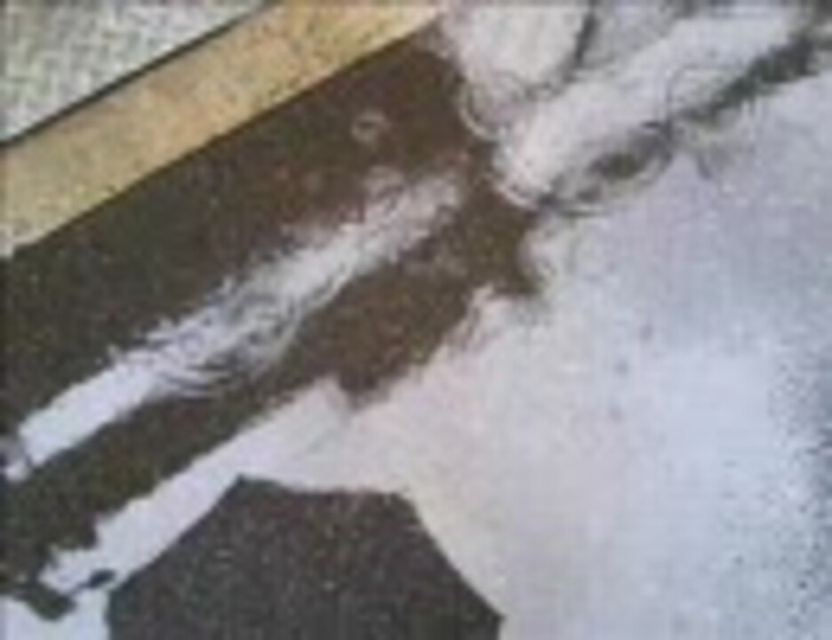 人気の 川村結花 動画 29本 ニコニコ動画