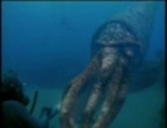 タイムスリップ！　恐竜時代　古代の海へ①