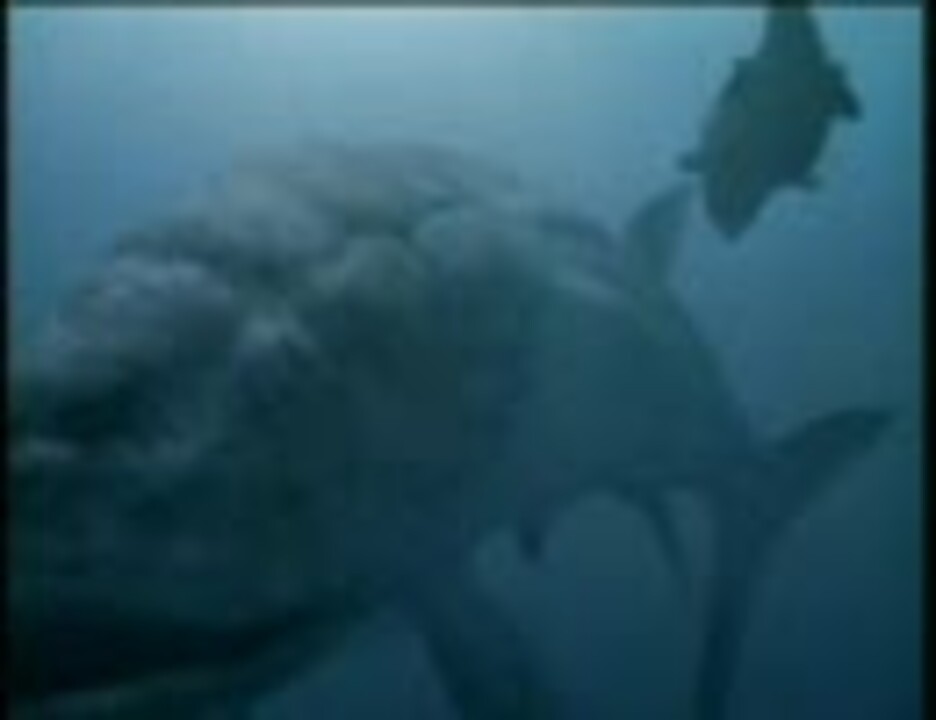 タイムスリップ 恐竜時代 古代の海へ ニコニコ動画