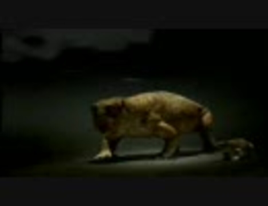 タイムスリップ！古生代 その7 ニコニコ動画