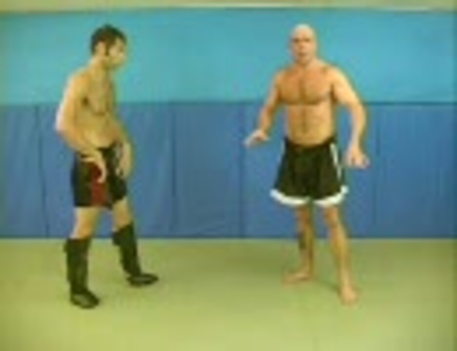 人気の バス ルッテン 動画 27本 ニコニコ動画