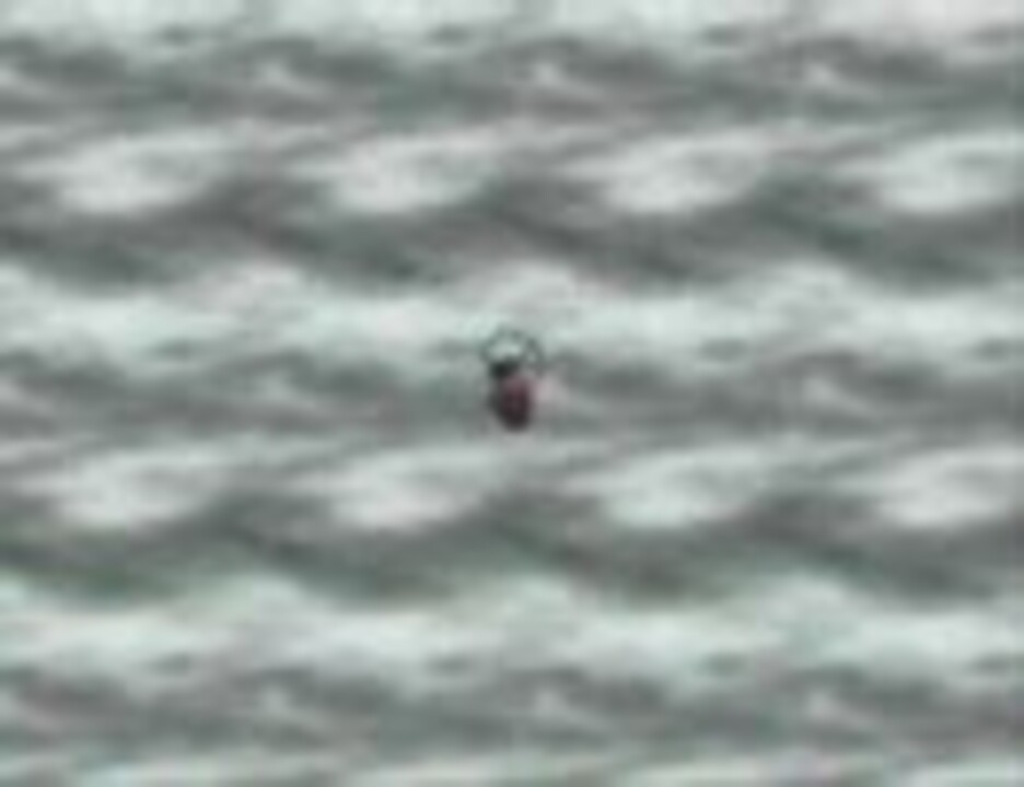 人気の ポケモン ポケットモンスター 動画 4 087本 7 ニコニコ動画