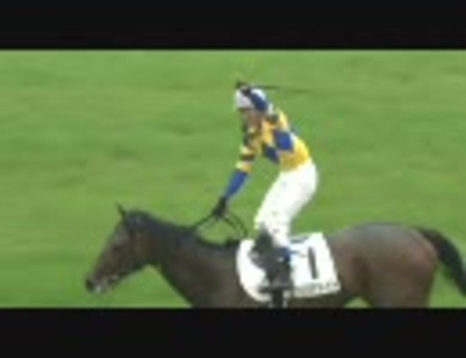 競馬】 2009 東京優駿[日本ダービー] ロジユニヴァース 【全部盛り