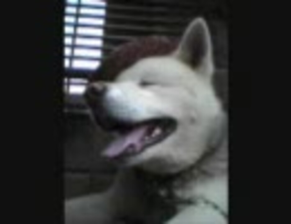 人気の スガシカオ 19才 動画 24本 ニコニコ動画