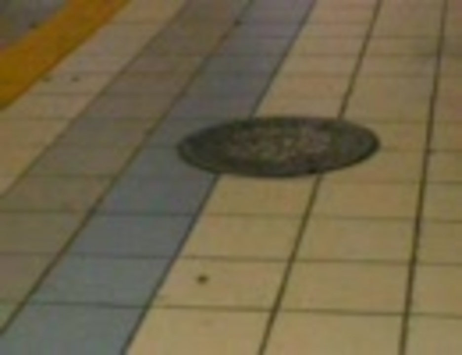 京橋駅のゴキブリ 1 ニコニコ動画