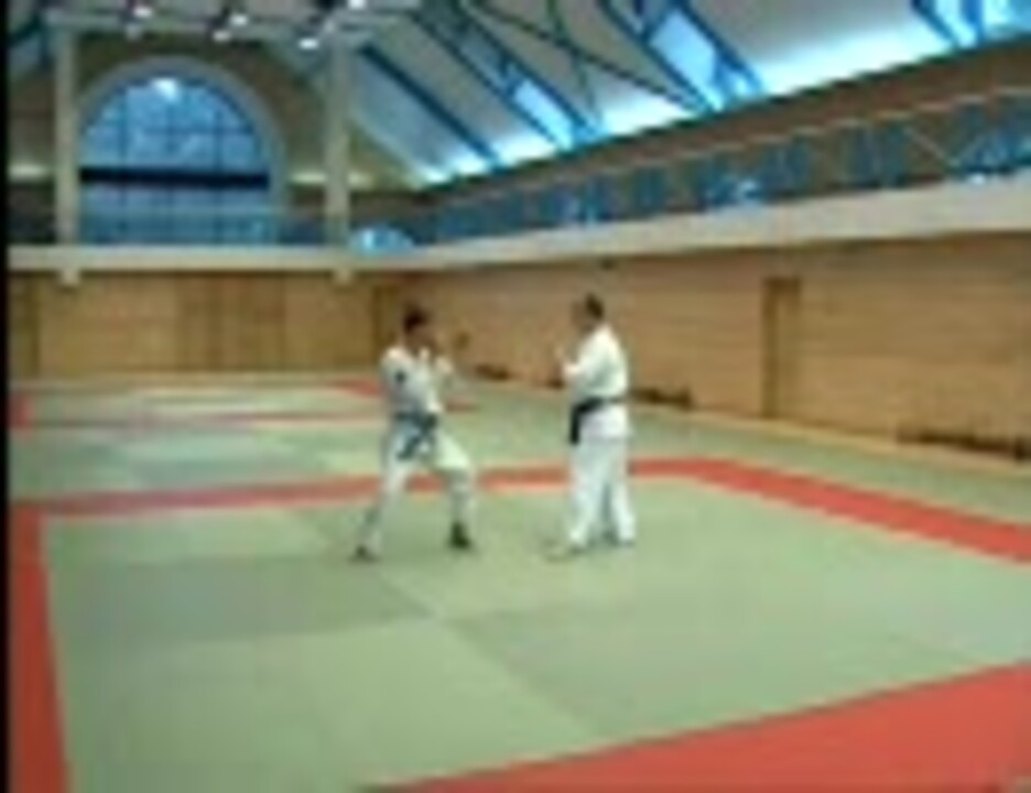 人気の 武術 ロシア 動画 48本 ニコニコ動画