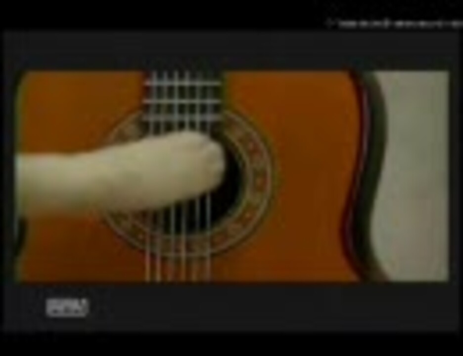 人気の ぼくはくま 動画 63本 ニコニコ動画