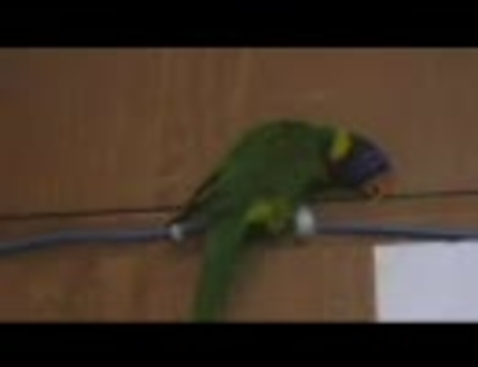 人気の おしゃべり 動画 2本 ニコニコ動画