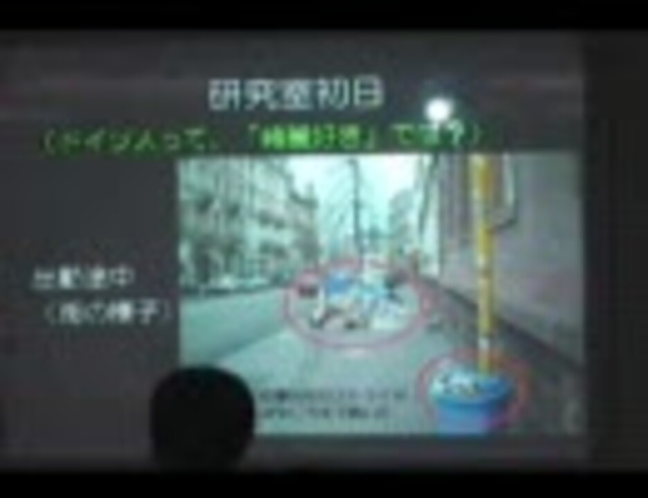 米原厚憲氏 京都産業大学 海外武者修行で得たもの ニコニコ動画