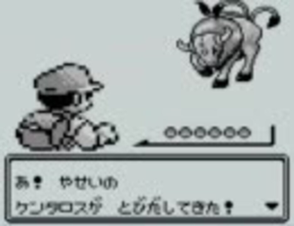 ケンタロス30匹つかまえるまで粘るし 前編 ポケモン緑 実況プレイ