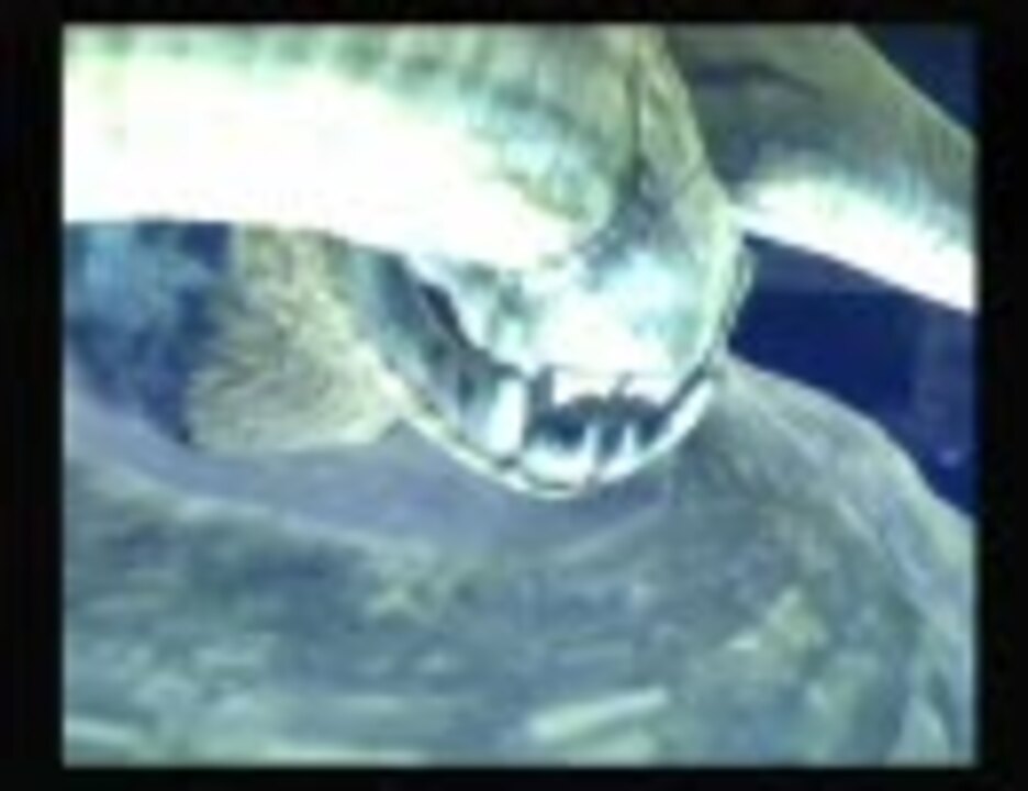 人気の ﾅﾊﾞﾙﾃﾞｳｽ 動画 116本 4 ニコニコ動画