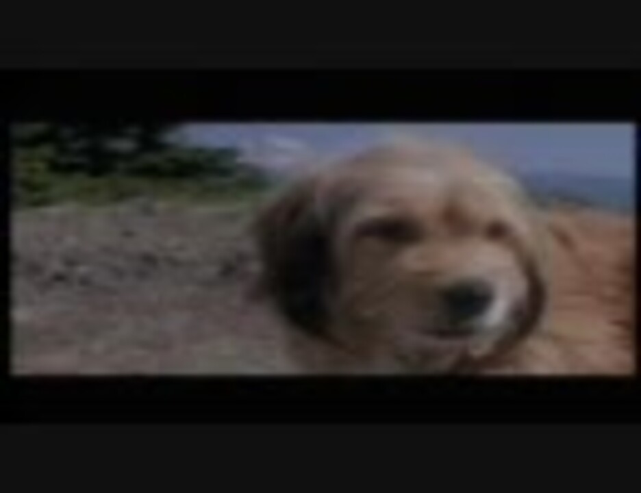 Benji Part 5 終 ニコニコ動画