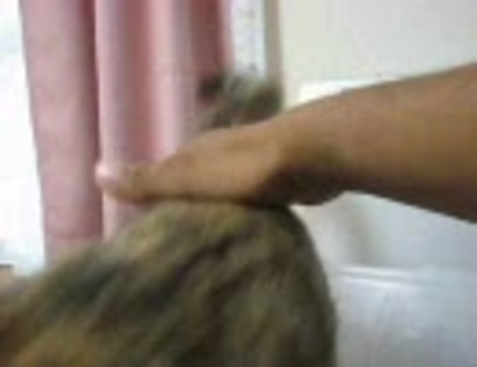 人気の Smプレイ 動画 173本 ニコニコ動画