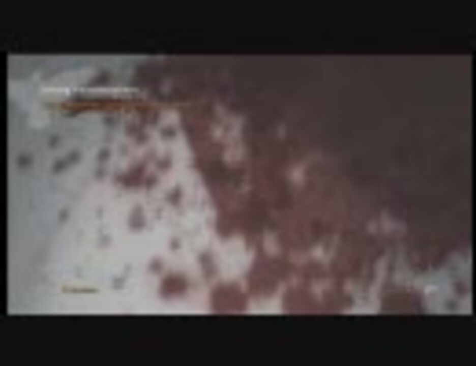 人気の シャトゥーン 動画 2本 ニコニコ動画