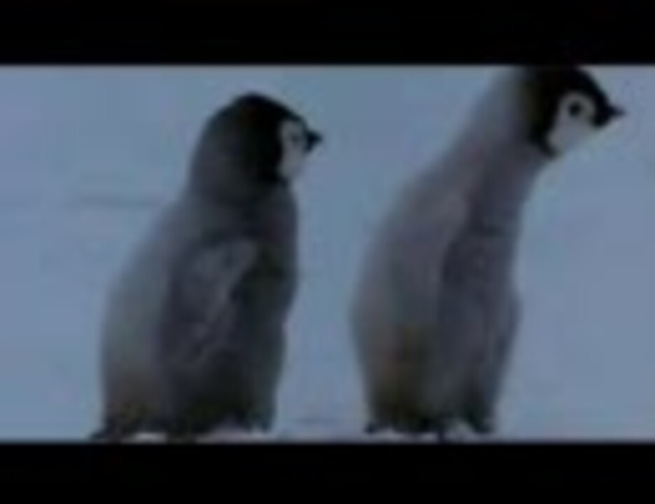 人気の コウテイペンギン 動画 62本 ニコニコ動画