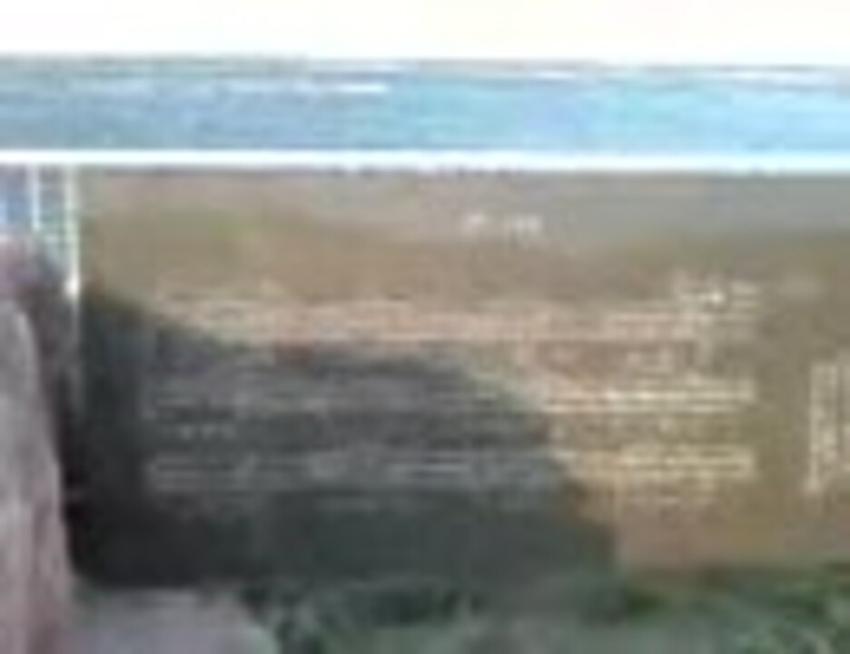 人気の 千葉紘子 動画 6本 ニコニコ動画