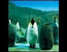 らご/羅針盤【1997】 - EPOCALC's GARAGE