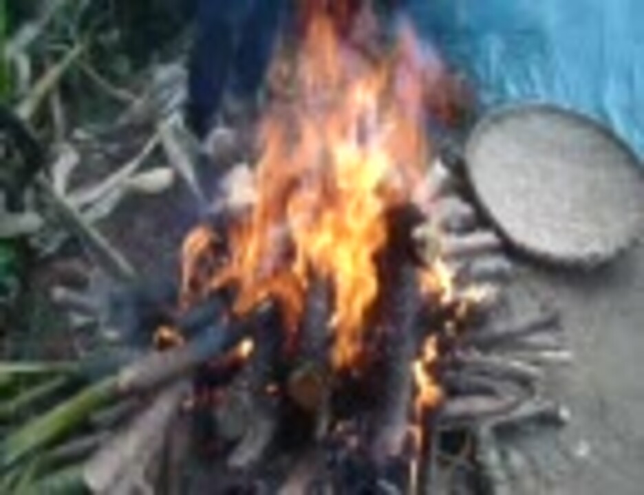 豚の屠殺・解体シーンを撮ってみた ニコニコ動画