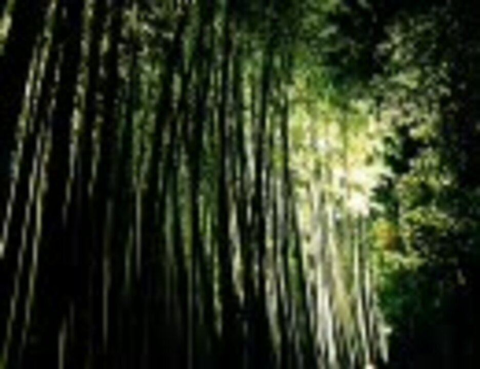 人気の 野寺坊 動画 2本 ニコニコ動画