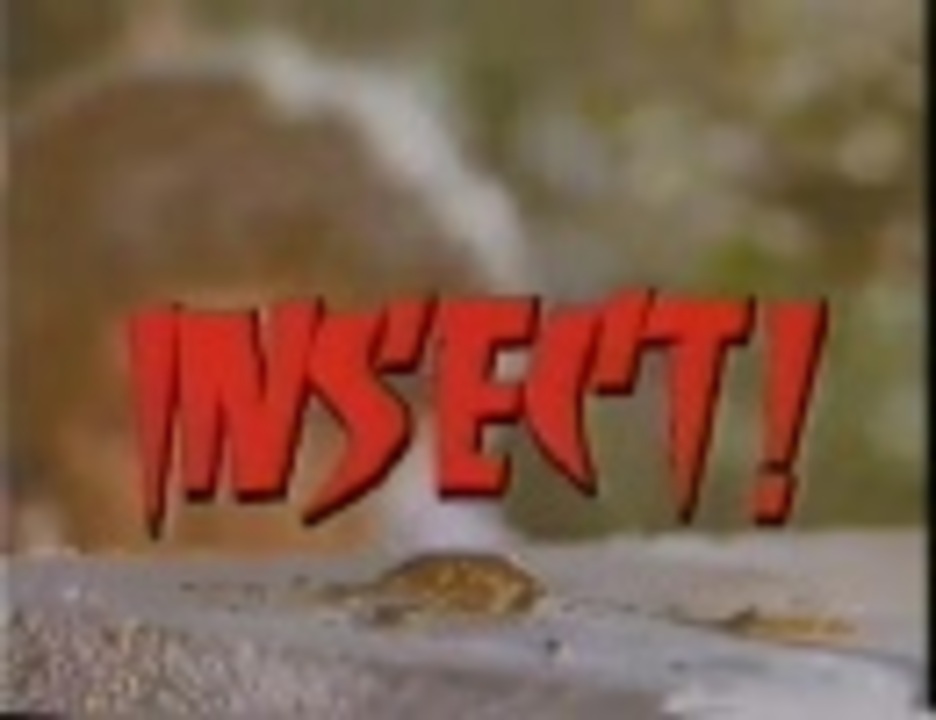 INSECT ! 