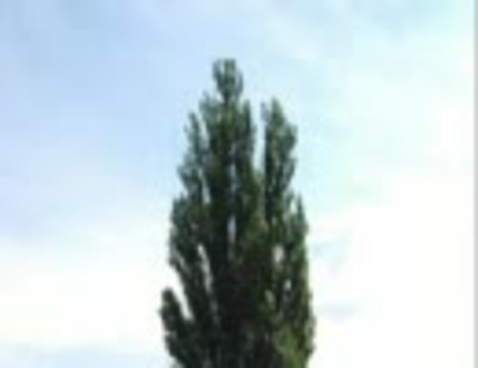 人気の オトナ帝国の逆襲 動画 92本 ニコニコ動画