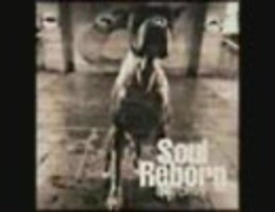 人気の 富永tommy弘明 動画 65本 ニコニコ動画