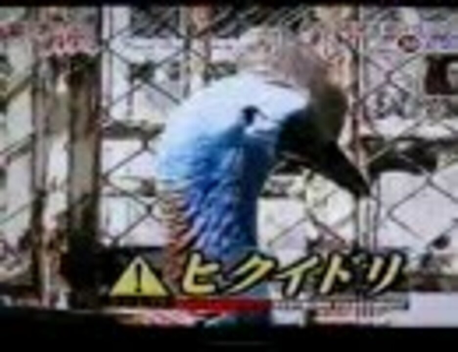 飛び出せ科学くん 最凶の危険生物50 ニコニコ動画