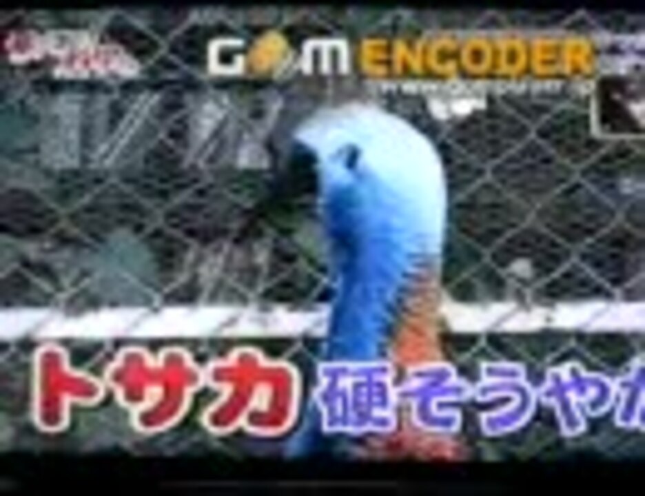 飛び出せ科学くん 最凶の危険生物50 ニコニコ動画