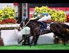 ステイゴールドが急死。香港ヴァーズ・ラジオ実況 - おら一口