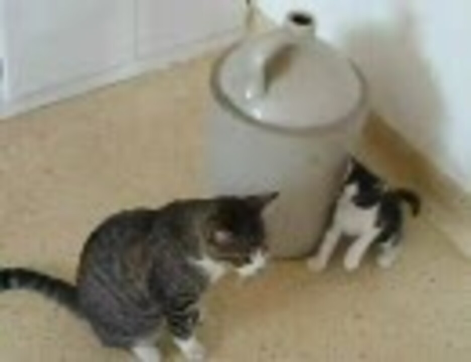 人気の 猫パンチ 動画 405本 ニコニコ動画