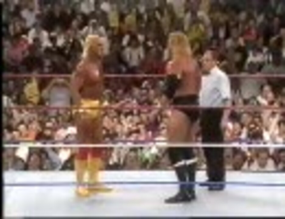 ビンテージ　ハルク・ホーガン　WWE　WWF 1991年　一番 GIJOE ビンテージ ハルク・ホーガン WWE WWF 1991年 一番 GIJOE