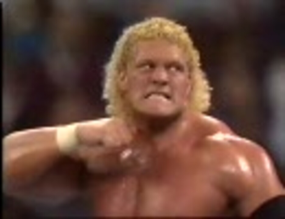 ビンテージ　ハルク・ホーガン　WWE　WWF 1991年　一番 GIJOE ビンテージ ハルク・ホーガン WWE WWF 1991年 一番 GIJOE