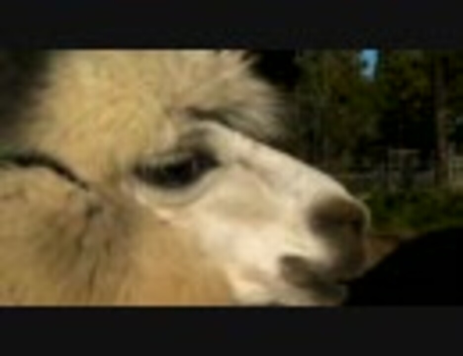 人気の ミラバケッソ 動画 37本 ニコニコ動画