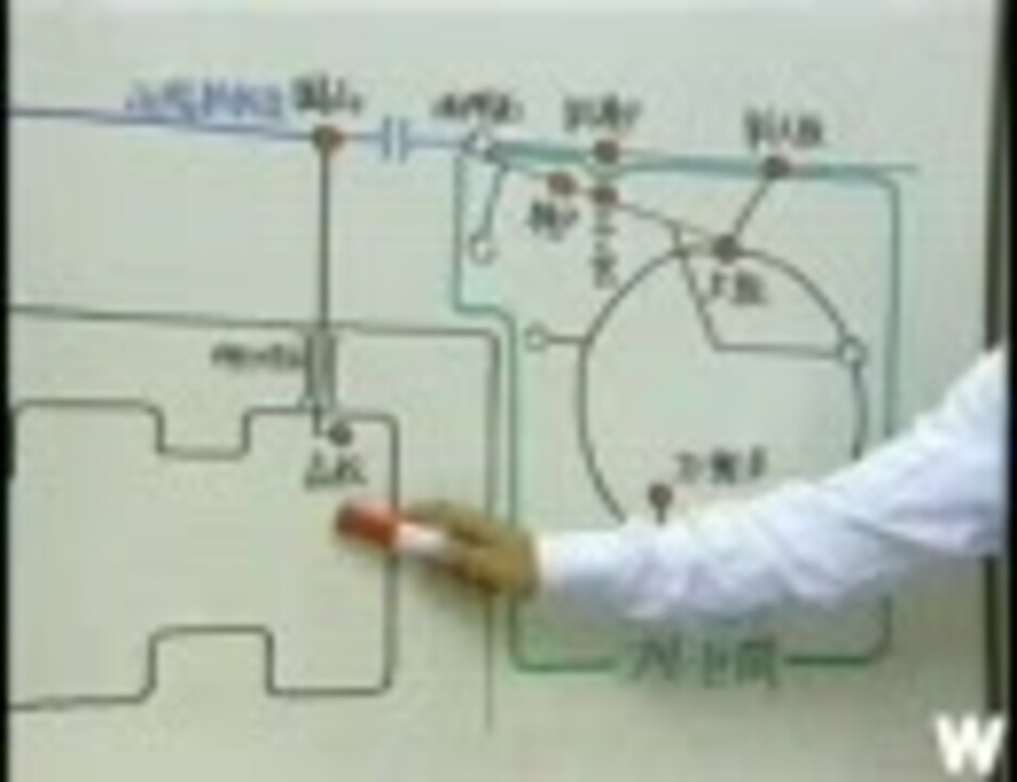 阪神往復フリーきっぷ先進国シコクキャニオン ニコニコ動画