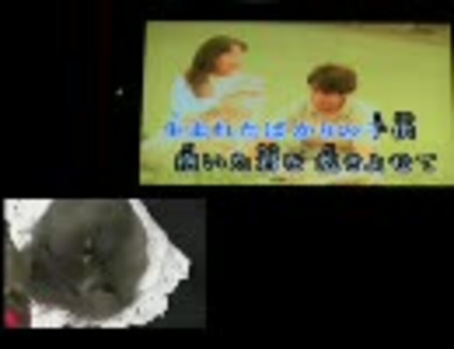人気の 石焼イモ 動画 11本 ニコニコ動画
