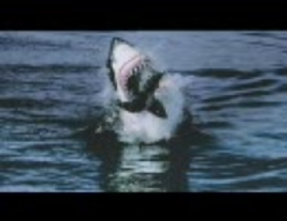人気の 動物 サメ 動画 152本 5 ニコニコ動画