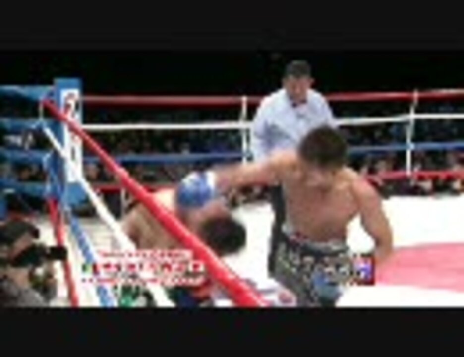 ボクシング世界戦 サルガドvs内山 Koシーン ニコニコ動画