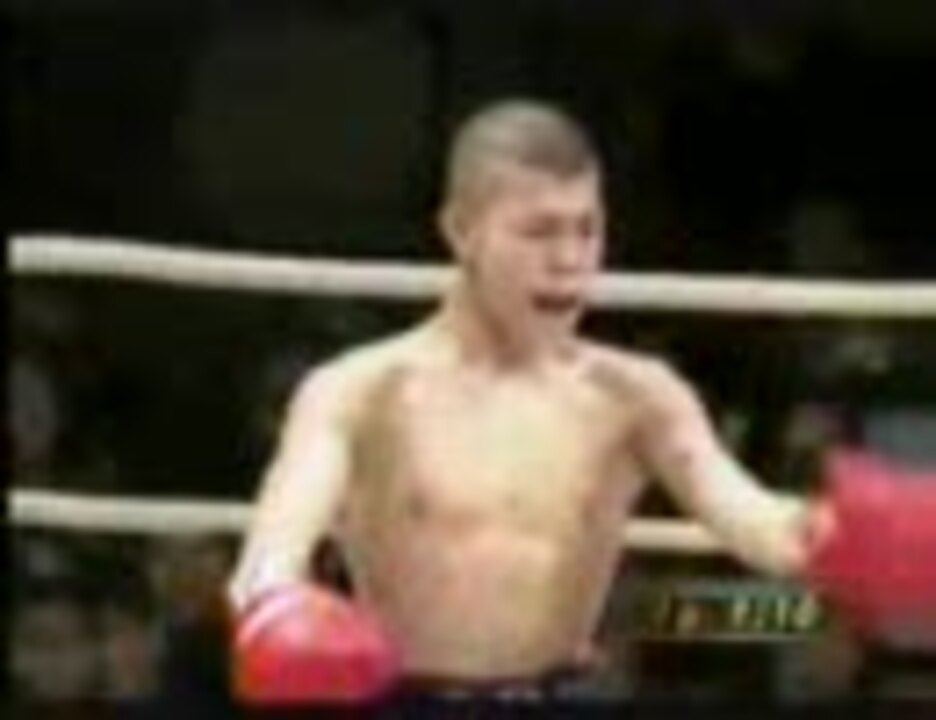 人気の 内藤大助 動画 115本 ニコニコ動画