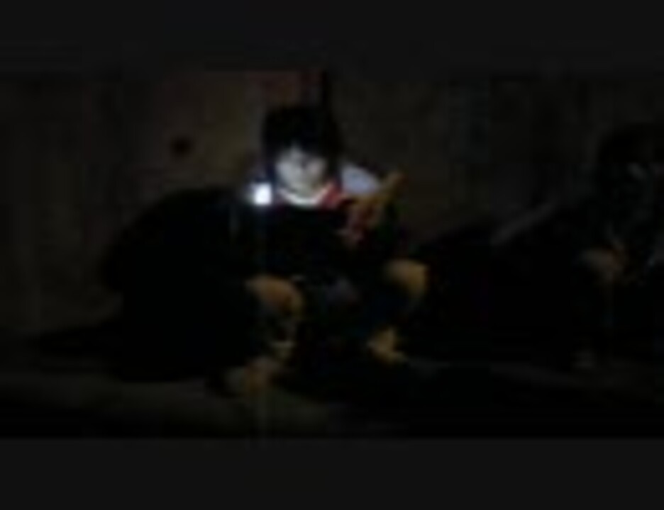 人気の Pikapika 動画 74本 ニコニコ動画