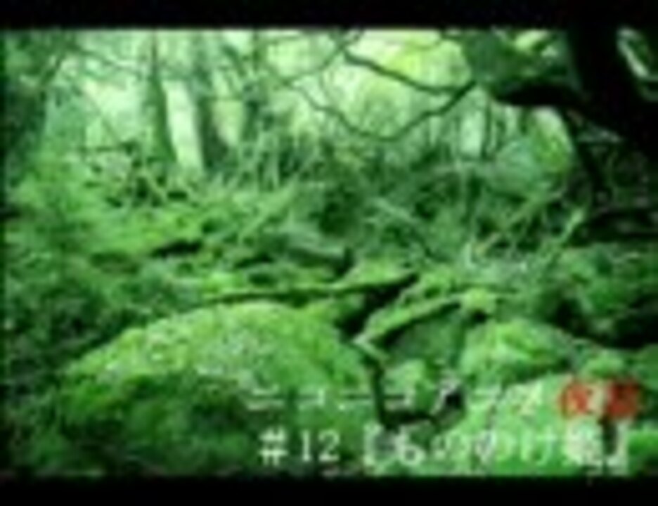 人気の ニコニコアニメ夜話 動画 49本 ニコニコ動画
