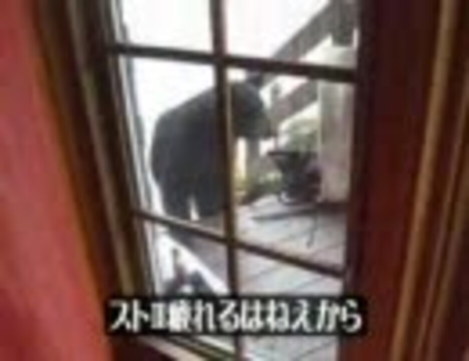 人気の 動物対決シリーズ 動画 191本 ニコニコ動画