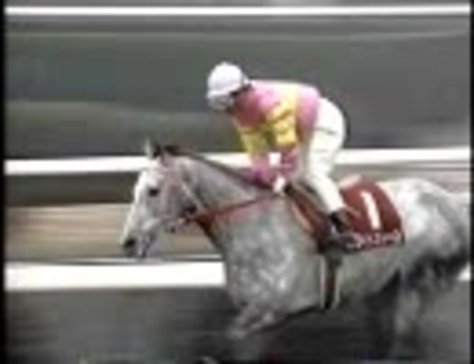 【競馬】 1993 アメリカジョッキーCC ホワイトストーン 【ちょっと盛り】