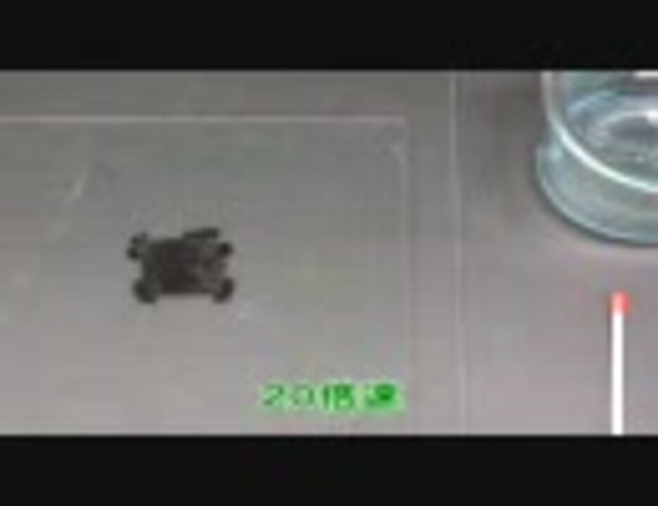 金属樹2 銅樹（亜鉛板と塩化銅II） ニコニコ動画