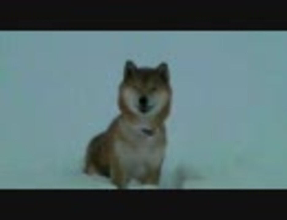 人気の 雪 犬 動画 80本 ニコニコ動画