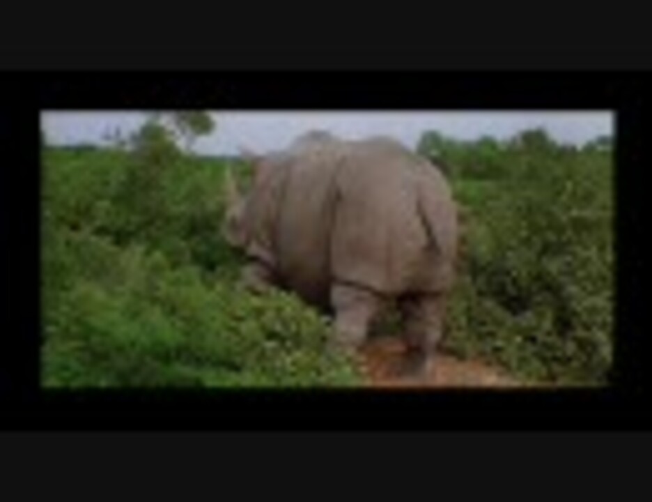 人気の 動物 出産 動画 本 ニコニコ動画