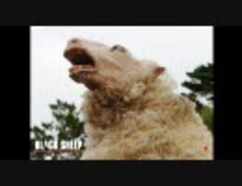 人気の 羊 吠える 動画 5本 ニコニコ動画