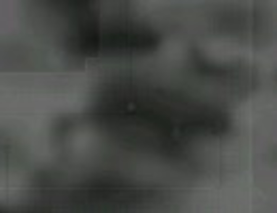 人気の 三角頭 動画 42本 ニコニコ動画