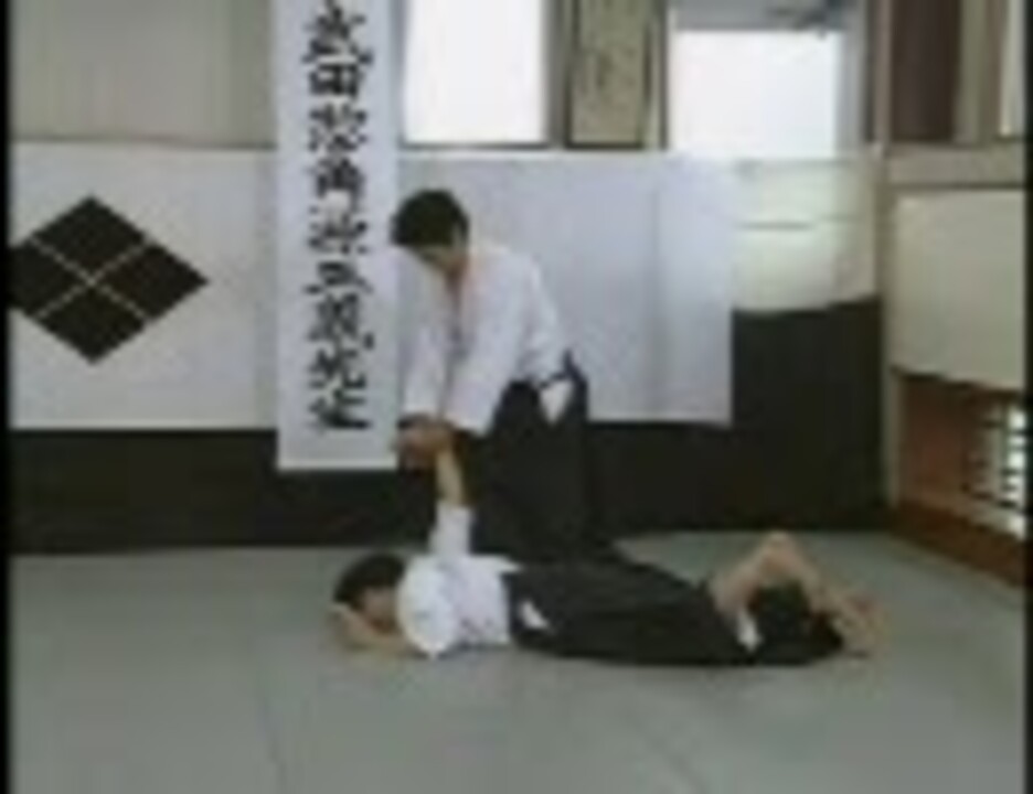 人気の 大東流合気柔術 動画 43本 ニコニコ動画